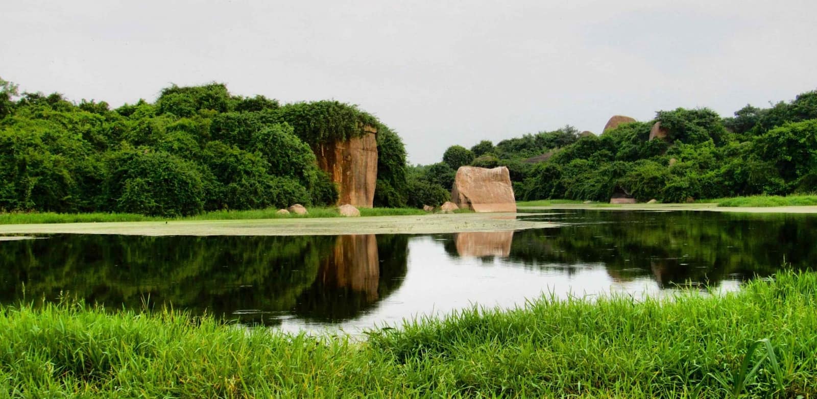 Campus lake with rock formations and green foliage