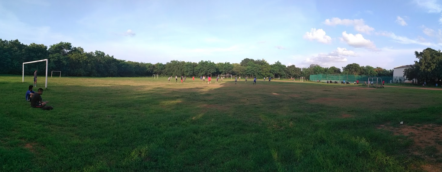 Grass football field